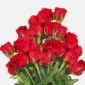 Stunning bouquet of red roses in bloom isolated on a white background, perfect for floral arrangements.